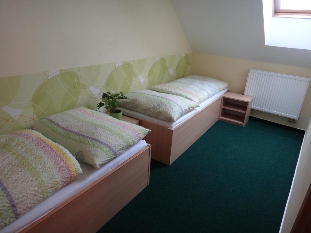 Penzion U Bednaru Pavlov Ruang foto